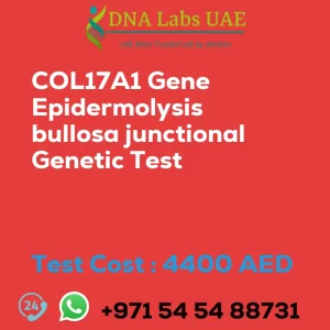 COL17A1 Gene Epidermolysis bullosa junctional Genetic Test sale cost 4400 AED