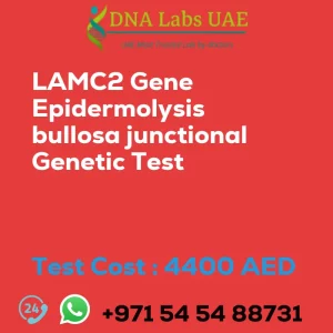 LAMC2 Gene Epidermolysis bullosa junctional Genetic Test sale cost 4400 AED