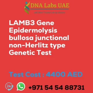 LAMB3 Gene Epidermolysis bullosa junctional non-Herlitz type Genetic Test sale cost 4400 AED