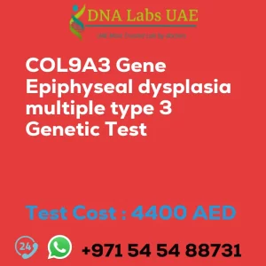 COL9A3 Gene Epiphyseal dysplasia multiple type 3 Genetic Test sale cost 4400 AED