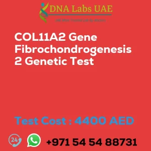 COL11A2 Gene Fibrochondrogenesis 2 Genetic Test sale cost 4400 AED