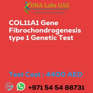 COL11A1 Gene Fibrochondrogenesis type 1 Genetic Test sale cost 4400 AED