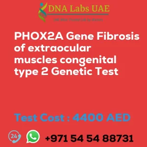 PHOX2A Gene Fibrosis of extraocular muscles congenital type 2 Genetic Test sale cost 4400 AED