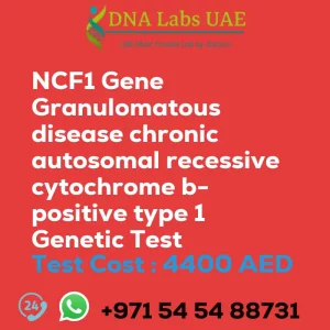 NCF1 Gene Granulomatous disease chronic autosomal recessive cytochrome b- positive type 1 Genetic Test sale cost 4400 AED