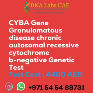 CYBA Gene Granulomatous disease chronic autosomal recessive cytochrome b-negative Genetic Test sale cost 4400 AED