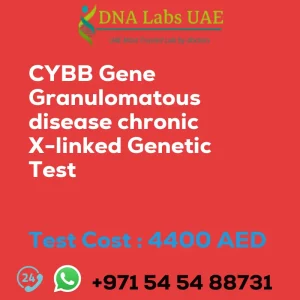 CYBB Gene Granulomatous disease chronic X-linked Genetic Test sale cost 4400 AED