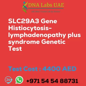 SLC29A3 Gene Histiocytosis-lymphadenopathy plus syndrome Genetic Test sale cost 4400 AED