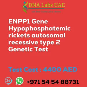 ENPP1 Gene Hypophosphatemic rickets autosomal recessive type 2 Genetic Test sale cost 4400 AED