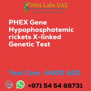 PHEX Gene Hypophosphatemic rickets X-linked Genetic Test sale cost 4400 AED