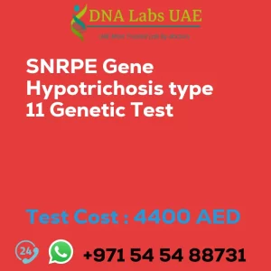 SNRPE Gene Hypotrichosis type 11 Genetic Test sale cost 4400 AED