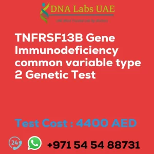 TNFRSF13B Gene Immunodeficiency common variable type 2 Genetic Test sale cost 4400 AED