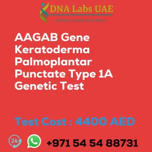 AAGAB Gene Keratoderma Palmoplantar Punctate Type 1A Genetic Test sale cost 4400 AED