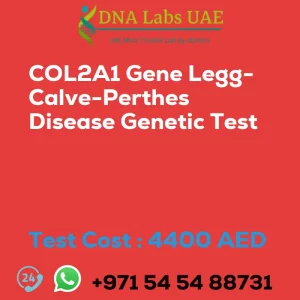 COL2A1 Gene Legg-Calve-Perthes Disease Genetic Test sale cost 4400 AED