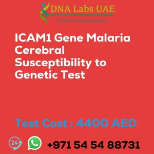 ICAM1 Gene Malaria Cerebral Susceptibility to Genetic Test sale cost 4400 AED