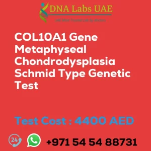 COL10A1 Gene Metaphyseal Chondrodysplasia Schmid Type Genetic Test sale cost 4400 AED