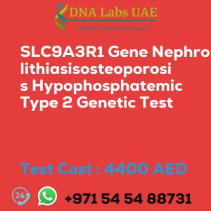 SLC9A3R1 Gene Nephrolithiasisosteoporosis Hypophosphatemic Type 2 Genetic Test sale cost 4400 AED