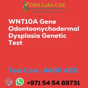 WNT10A Gene Odontoonychodermal Dysplasia Genetic Test sale cost 4400 AED