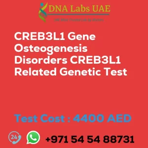 CREB3L1 Gene Osteogenesis Disorders CREB3L1 Related Genetic Test sale cost 4400 AED