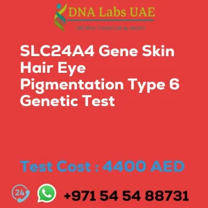 SLC24A4 Gene Skin Hair Eye Pigmentation Type 6 Genetic Test sale cost 4400 AED