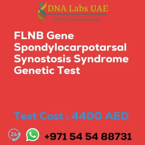 FLNB Gene Spondylocarpotarsal Synostosis Syndrome Genetic Test sale cost 4400 AED