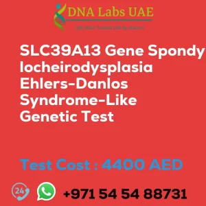 SLC39A13 Gene Spondylocheirodysplasia Ehlers-Danlos Syndrome-Like Genetic Test sale cost 4400 AED