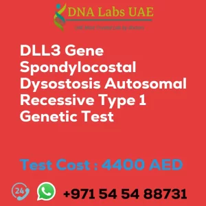 DLL3 Gene Spondylocostal Dysostosis Autosomal Recessive Type 1 Genetic Test sale cost 4400 AED