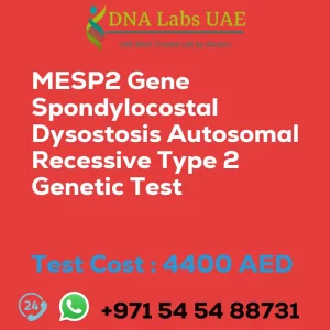 MESP2 Gene Spondylocostal Dysostosis Autosomal Recessive Type 2 Genetic Test sale cost 4400 AED