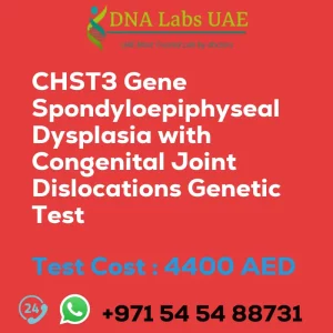 CHST3 Gene Spondyloepiphyseal Dysplasia with Congenital Joint Dislocations Genetic Test sale cost 4400 AED