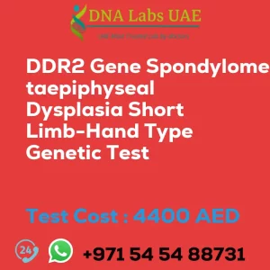 DDR2 Gene Spondylometaepiphyseal Dysplasia Short Limb-Hand Type Genetic Test sale cost 4400 AED