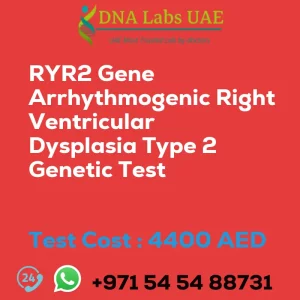 RYR2 Gene Arrhythmogenic Right Ventricular Dysplasia Type 2 Genetic Test sale cost 4400 AED