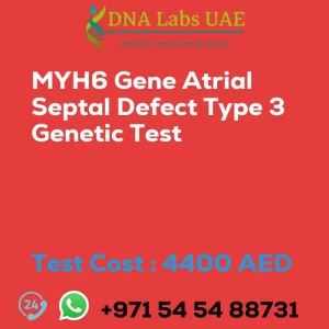 MYH6 Gene Atrial Septal Defect Type 3 Genetic Test sale cost 4400 AED