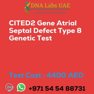 CITED2 Gene Atrial Septal Defect Type 8 Genetic Test sale cost 4400 AED