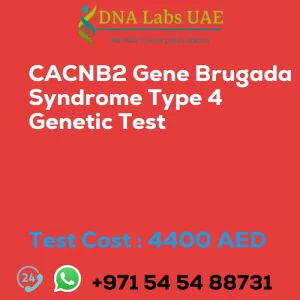 CACNB2 Gene Brugada Syndrome Type 4 Genetic Test sale cost 4400 AED