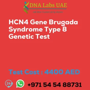 HCN4 Gene Brugada Syndrome Type 8 Genetic Test sale cost 4400 AED
