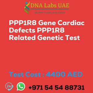 PPP1R8 Gene Cardiac Defects PPP1R8 Related Genetic Test sale cost 4400 AED