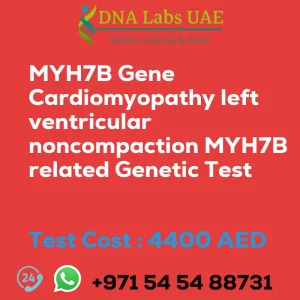 MYH7B Gene Cardiomyopathy left ventricular noncompaction MYH7B related Genetic Test sale cost 4400 AED