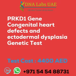 PRKD1 Gene Congenital heart defects and ectodermal dysplasia Genetic Test sale cost 4400 AED