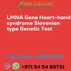 LMNA Gene Heart-hand syndrome Slovenian type Genetic Test sale cost 4400 AED