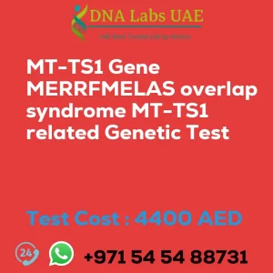 MT-TS1 Gene MERRFMELAS overlap syndrome MT-TS1 related Genetic Test sale cost 4400 AED