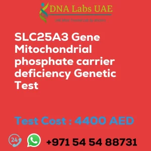 SLC25A3 Gene Mitochondrial phosphate carrier deficiency Genetic Test sale cost 4400 AED