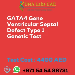 GATA4 Gene Ventricular Septal Defect Type 1 Genetic Test sale cost 4400 AED