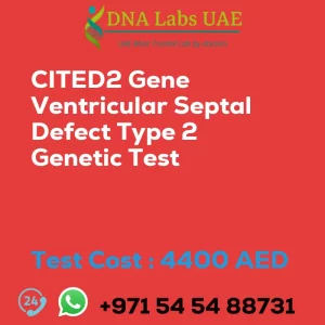 CITED2 Gene Ventricular Septal Defect Type 2 Genetic Test sale cost 4400 AED