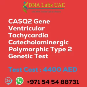 CASQ2 Gene Ventricular Tachycardia Catecholaminergic Polymorphic Type 2 Genetic Test sale cost 4400 AED