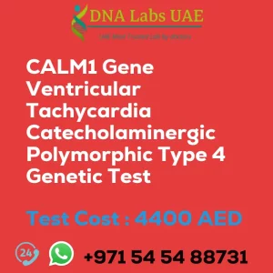 CALM1 Gene Ventricular Tachycardia Catecholaminergic Polymorphic Type 4 Genetic Test sale cost 4400 AED