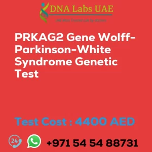 PRKAG2 Gene Wolff-Parkinson-White Syndrome Genetic Test sale cost 4400 AED