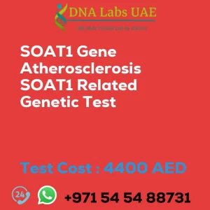 SOAT1 Gene Atherosclerosis SOAT1 Related Genetic Test sale cost 4400 AED