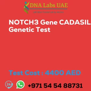 NOTCH3 Gene CADASIL Genetic Test sale cost 4400 AED