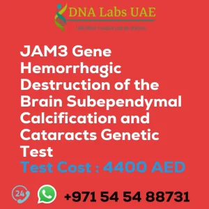 JAM3 Gene Hemorrhagic Destruction of the Brain Subependymal Calcification and Cataracts Genetic Test sale cost 4400 AED