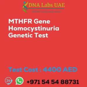 MTHFR Gene Homocystinuria Genetic Test sale cost 4400 AED