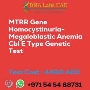 MTRR Gene Homocystinuria-Megaloblastic Anemia Cbl E Type Genetic Test sale cost 4400 AED